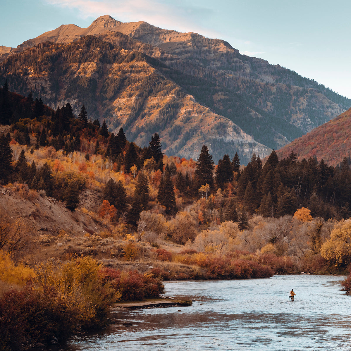 Fly Fish Acrylic Block