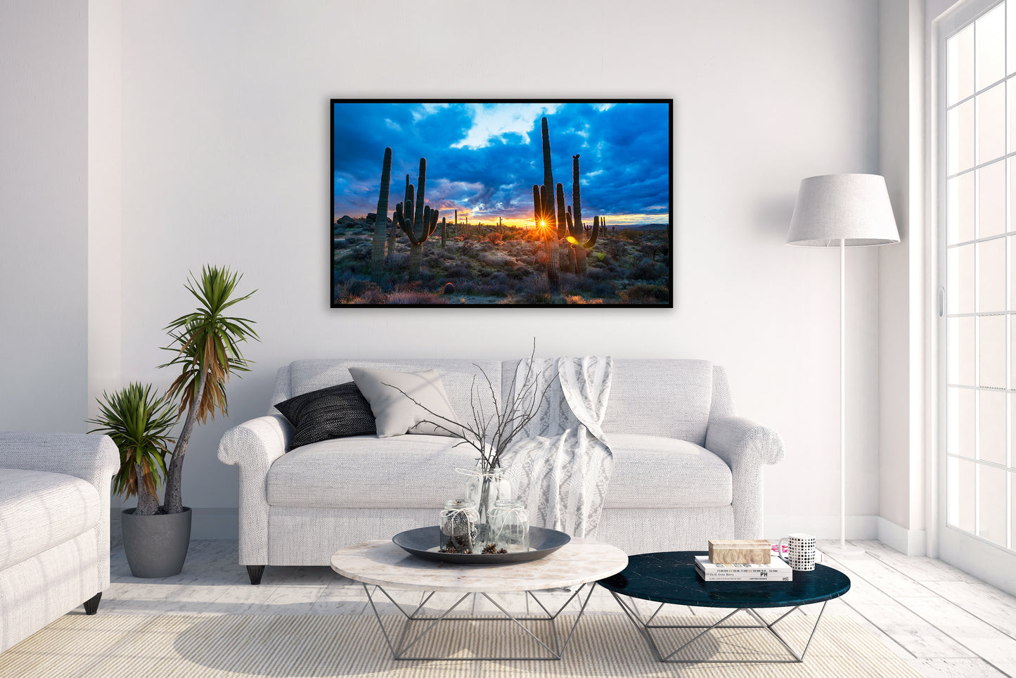 Sinking Suds - Phoenix Cactus Sunset Photos