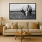 Needle In A Haystack - Wyoming Horse Meadow Photos