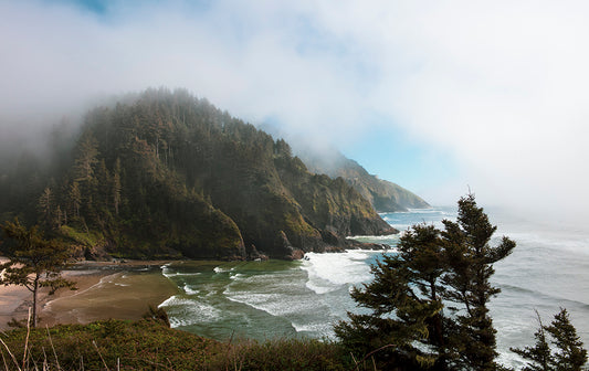Along the Coast - Oregon Coastline Photos