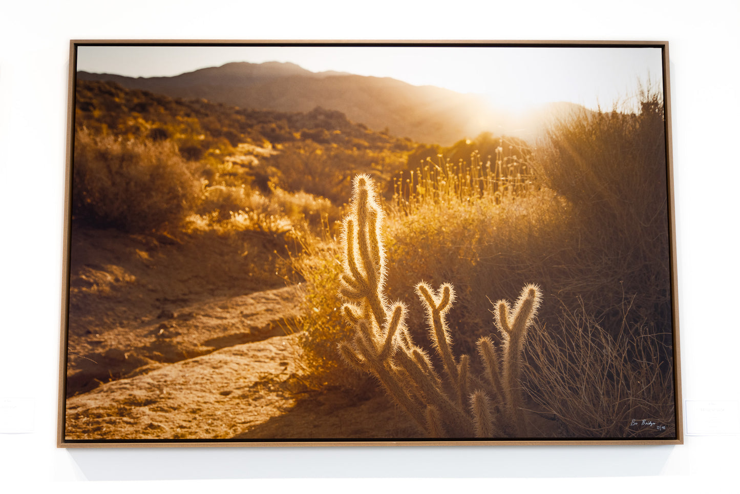Rattle At Dusk - Gallery Display Piece