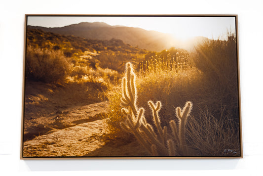 Rattle At Dusk - Gallery Display Piece