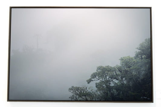 Amazon - Gallery Display Piece