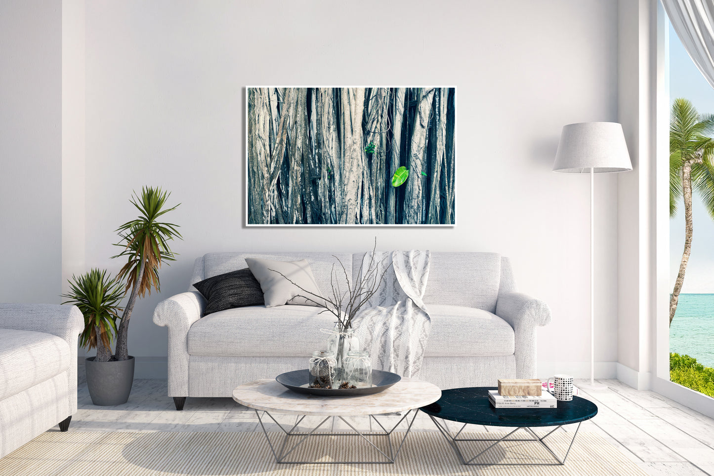 Baby Leaf - Maui Banyan Tree Photos