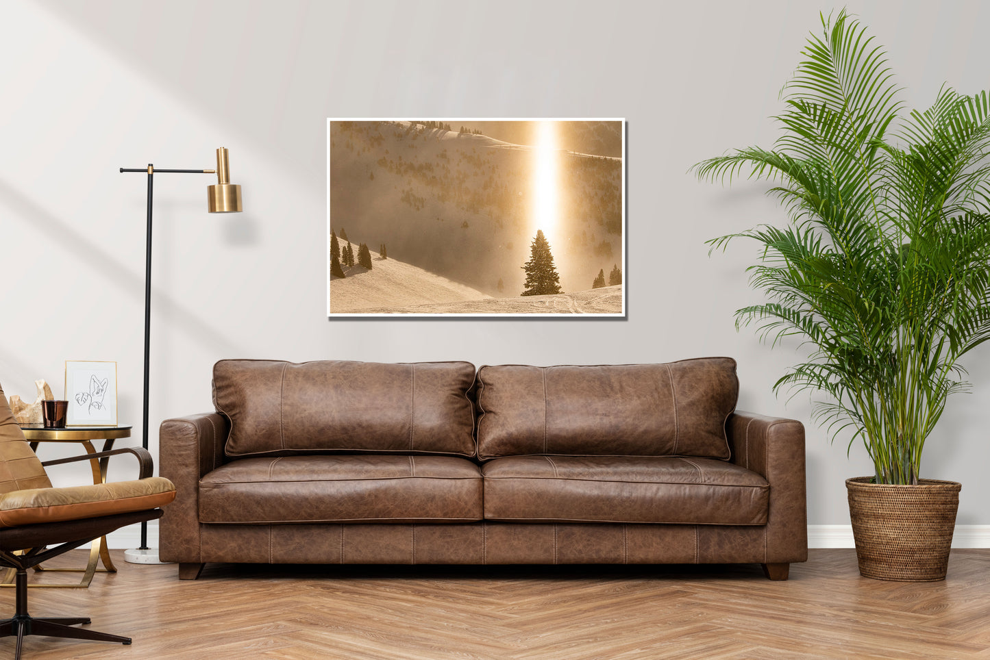 Beam Of Light - Vail Tree Photos