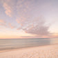 Blue Herring - Alys Beach Pastel Photos