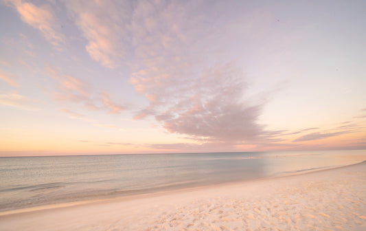 Blue Herring - Alys Beach Pastel Photos