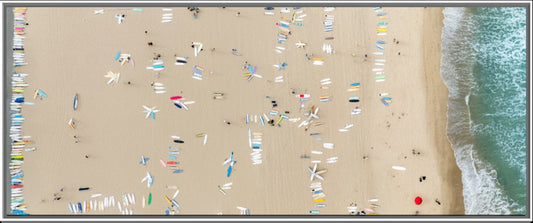 Board Certified - Gallery Display Piece