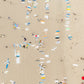 Board Certified - Panoramic Photo of Hermosa Beach