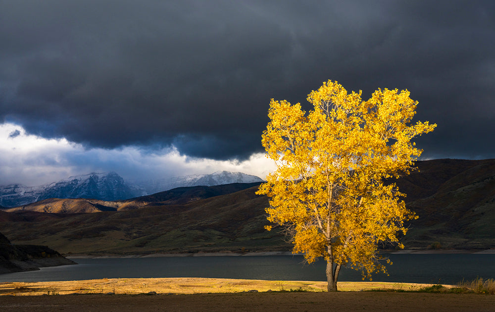 Bright Spot – Bo Bridges Utah Photography