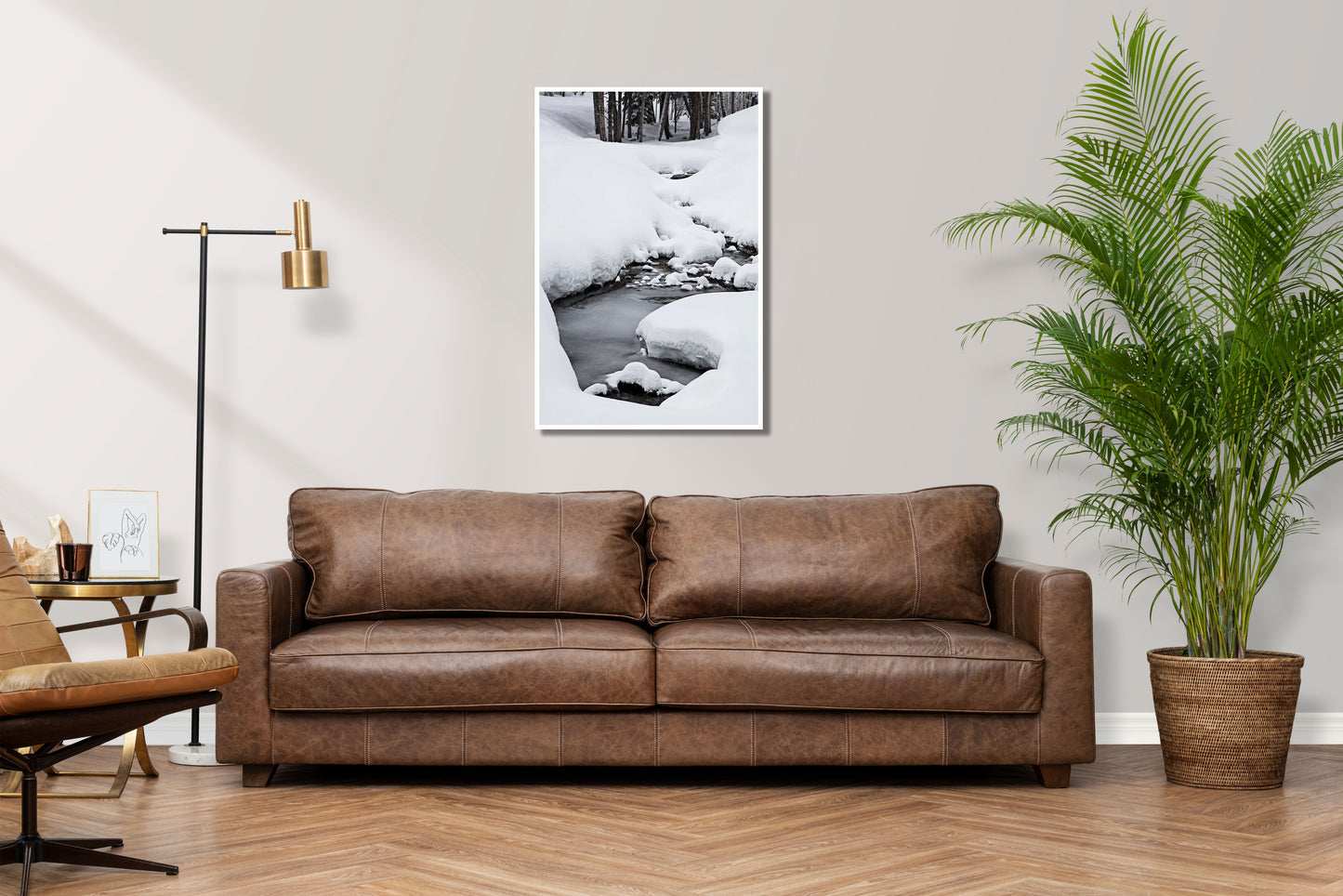 Brook - Aspen Snowy Stream Photos