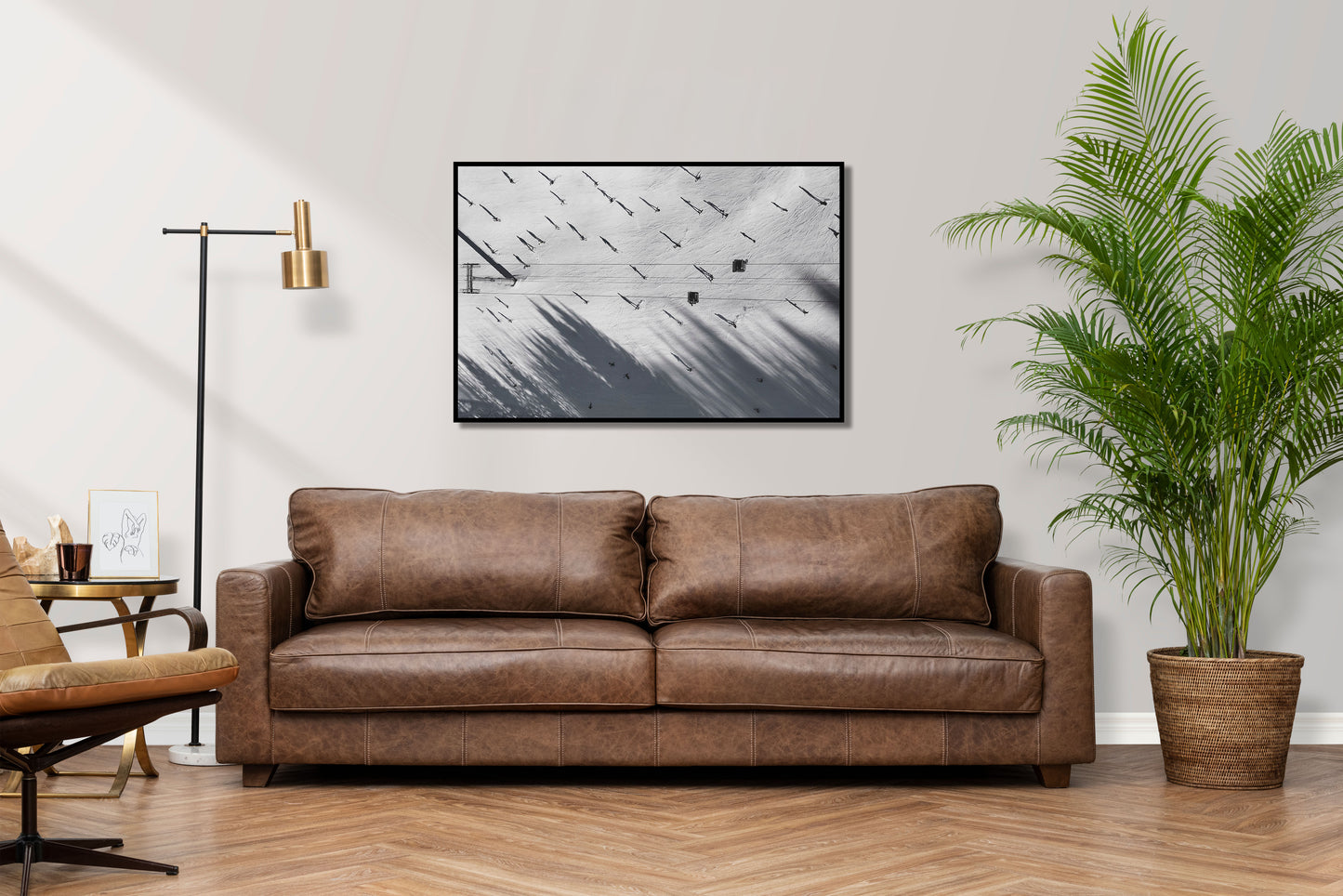 Chutes and Ladders - Aerial Skiing Photos