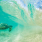 Free Ride - Matted Print - Sea Turtle Photos