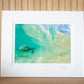 Free Ride - Matted Print - Sea Turtle Photos