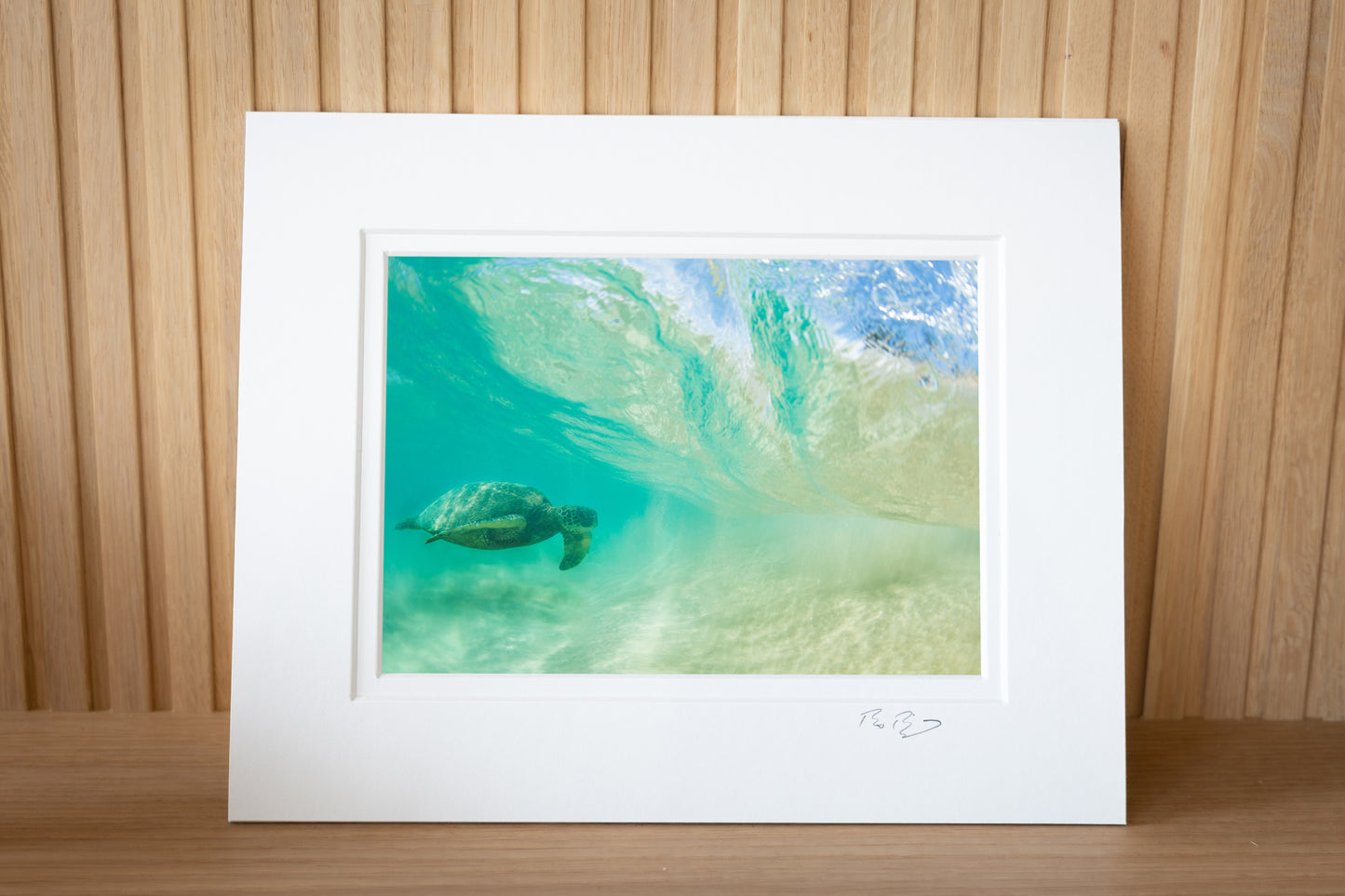 Free Ride - Matted Print - Sea Turtle Photos