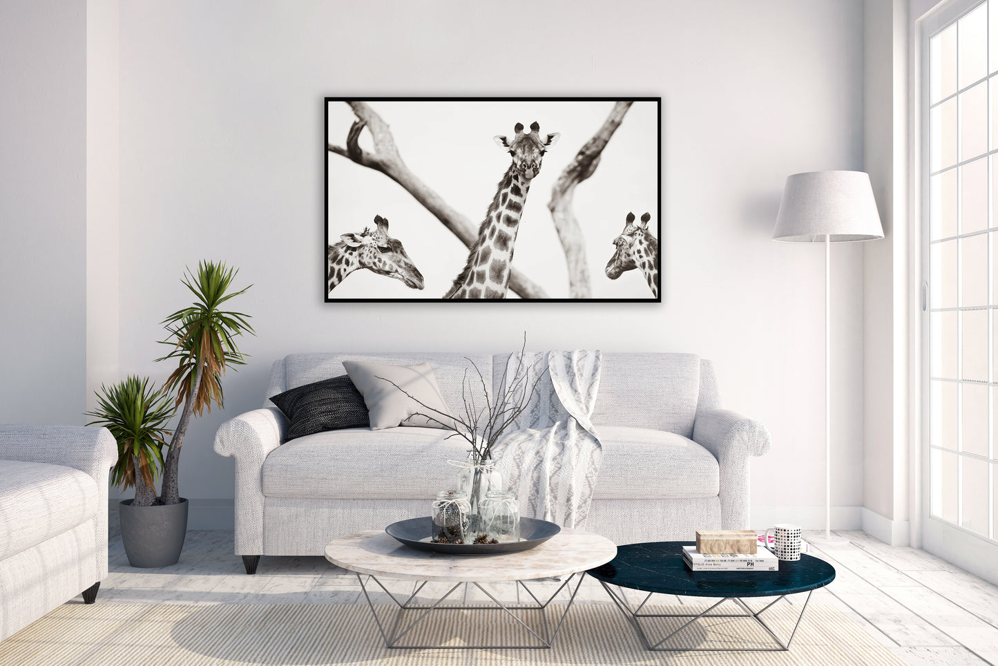 You Lookin' At Me? -  Spotted Kenya Giraffes Photo