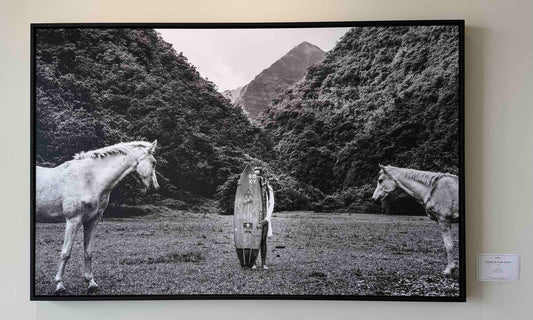 Hiding In Plain Sight - Gallery Display Piece