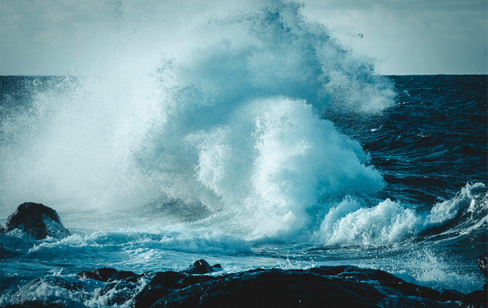 Impact Zone - Maui Ocean Photos