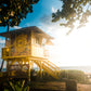 Island Watch - Maui Lifeguard Tower Photos