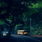 Journey Through Green - Maui Hana Photography