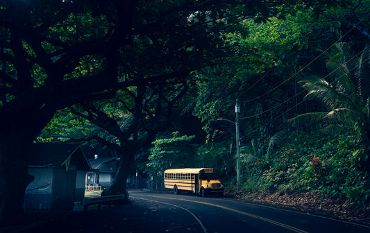 Journey Through Green - Maui Hana Photography