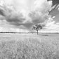 Solitary - Fine Art Photography