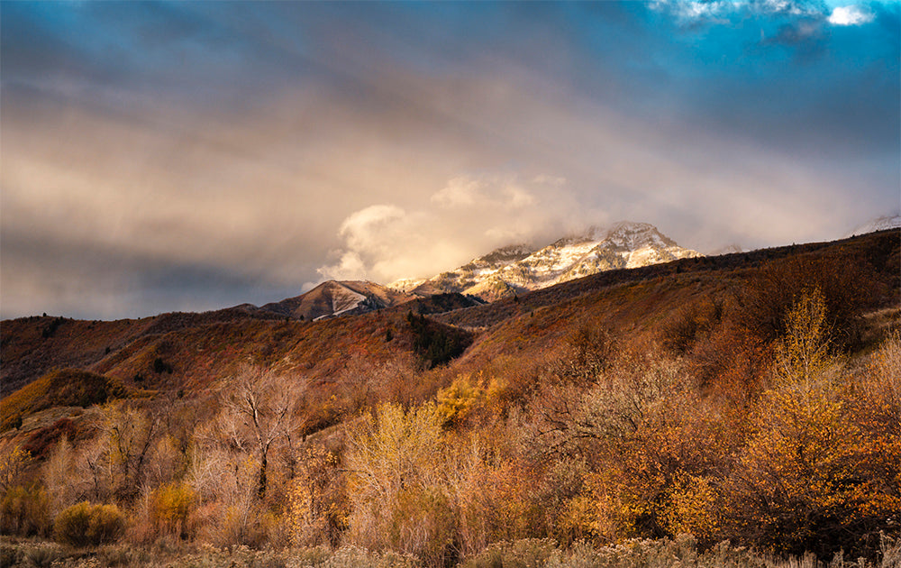 Light Finds A Way – Bo Bridges Utah Photography