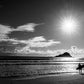 Lone Rider - Maui Surfer Photos