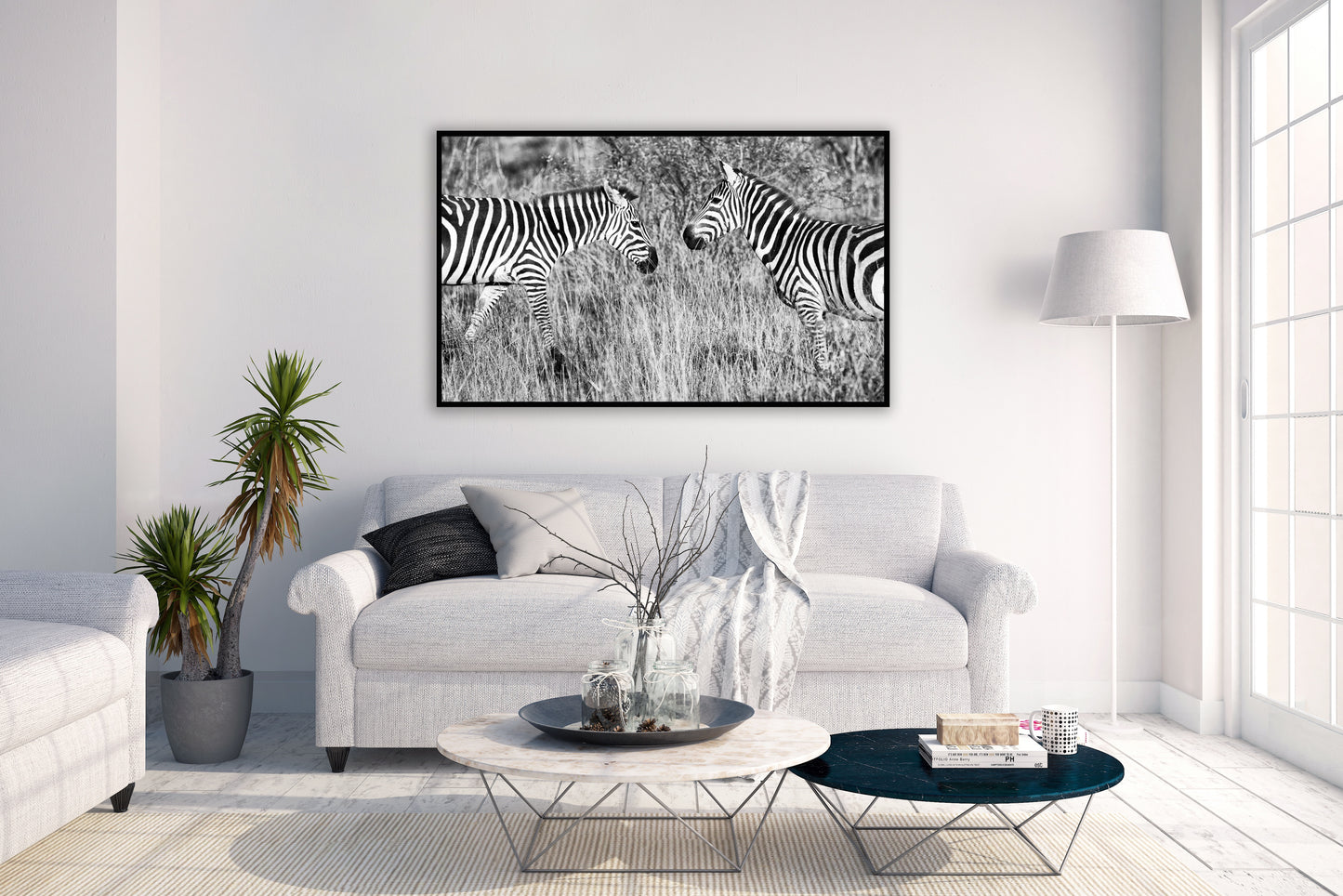 Looking In the Mirror - Zebra Photos