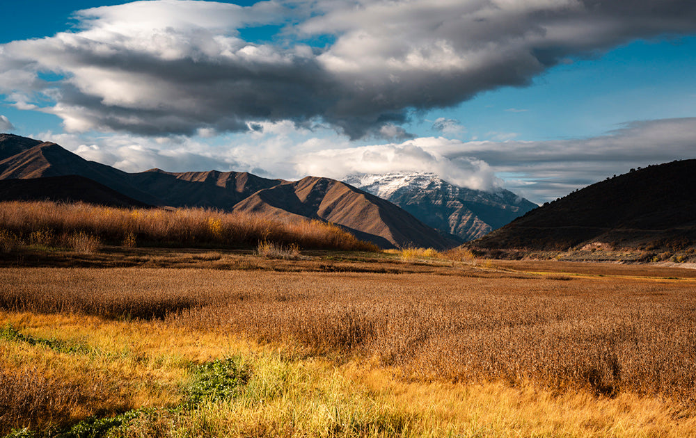 Nature's Layers – Bo Bridges Utah Photography