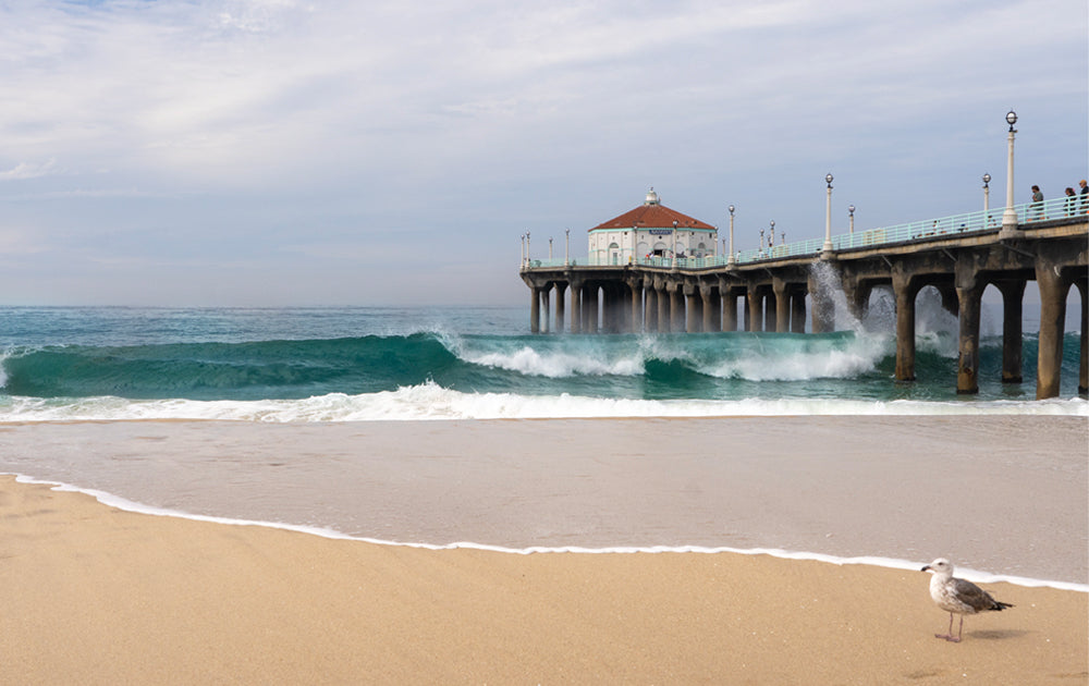News Reporter - Manhattan Beach, CA