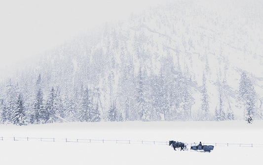 One Horse Open Sleigh - Sun Valley, Idaho Photography