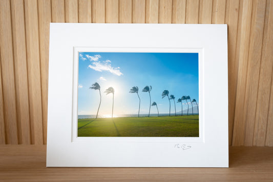Palm Trees - Matted Print - Maui Palm Tree Photos