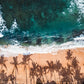 Aerial view of a beach with palm tree shadows and turquoise ocean water.