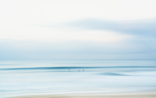 Pelicans Surf - Manhattan Beach Wave Photos
