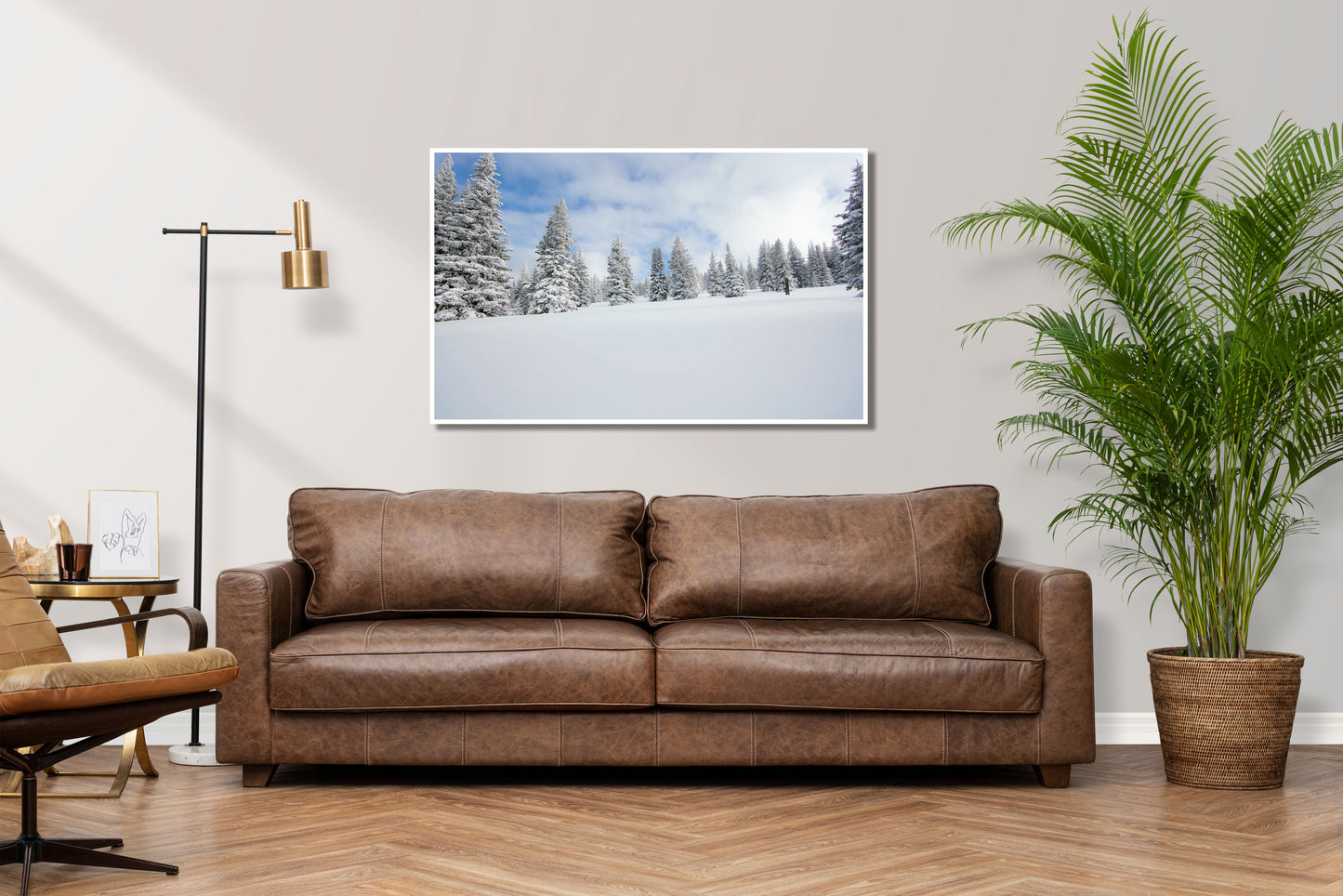 Powder - Vail Snow Powder Trees Photos