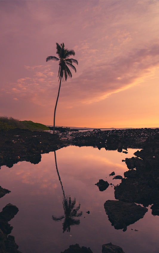 Queen's Bath - Hawaii Sunsets