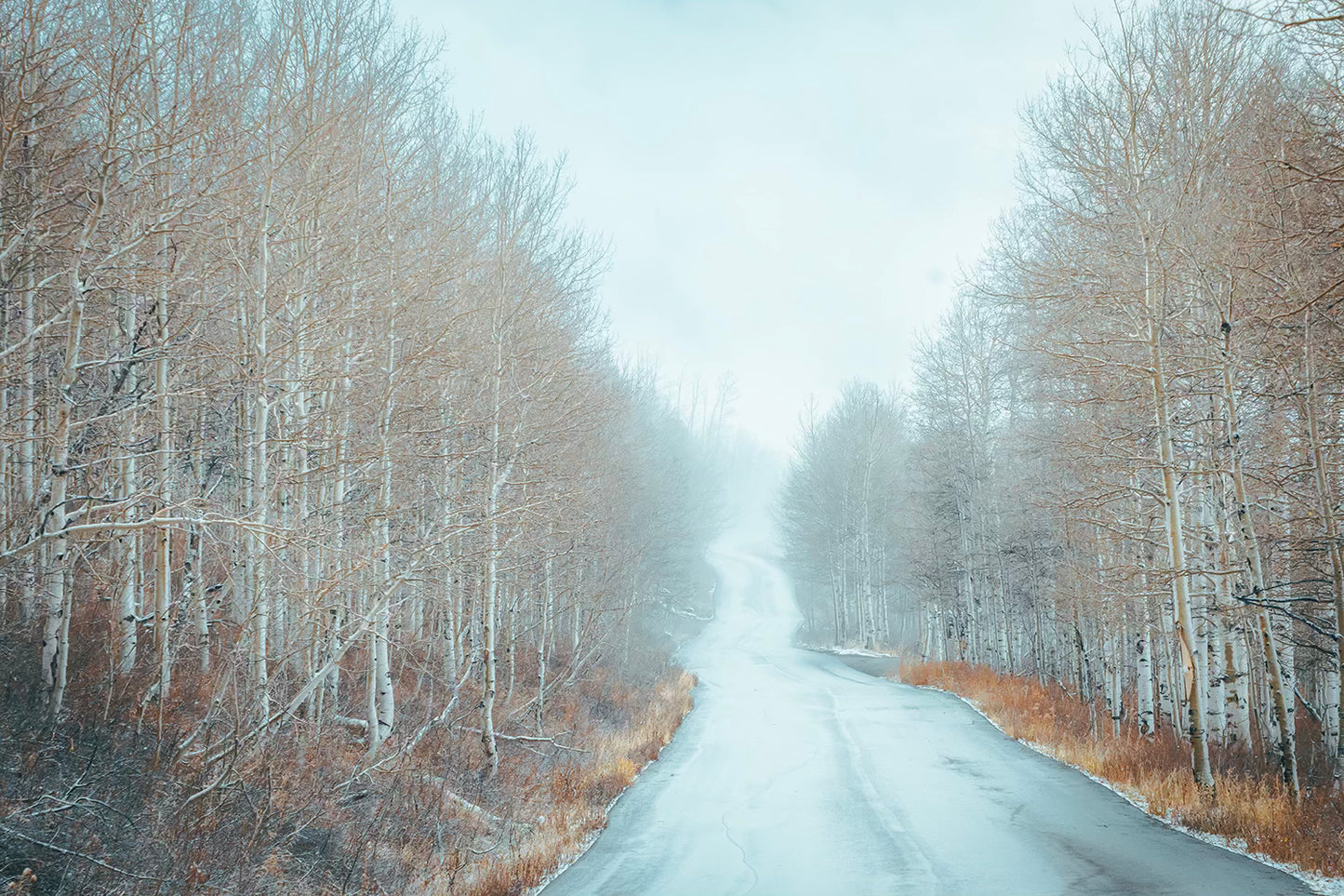 Season Transitions (Horizontal) – Park City, Utah Photography