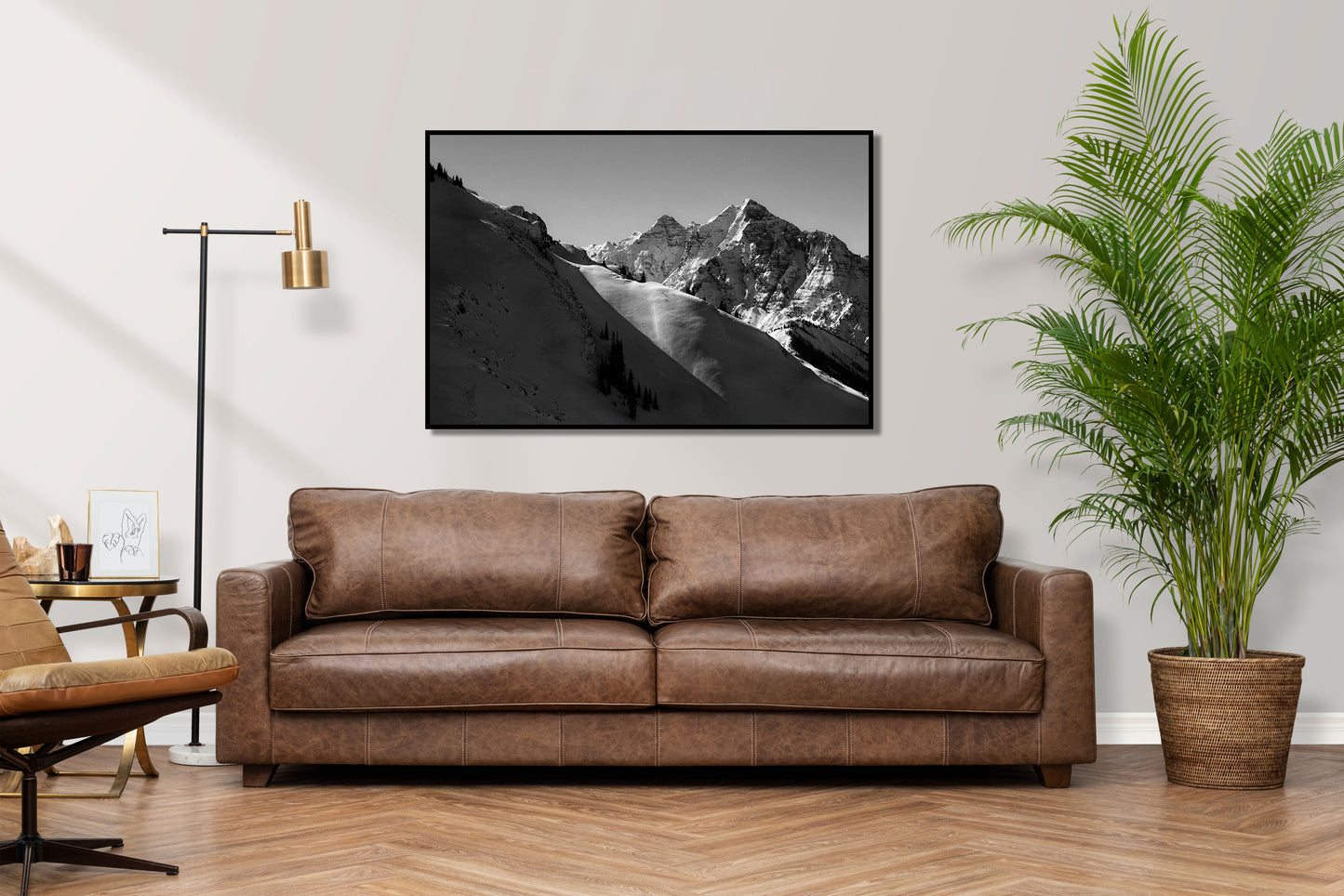 Rocky Mountain High - Aspen Mountains Photos