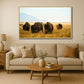 Rolling Deep - Buffalo Herd Wyoming Photos