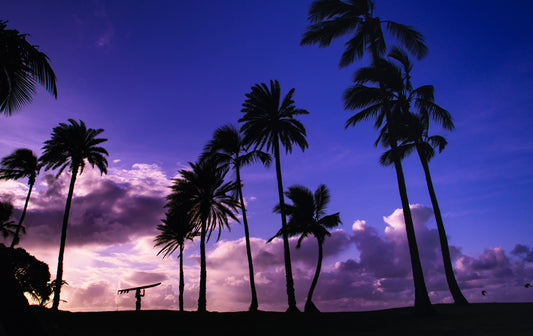 She Left - Tahiti Surf Photos
