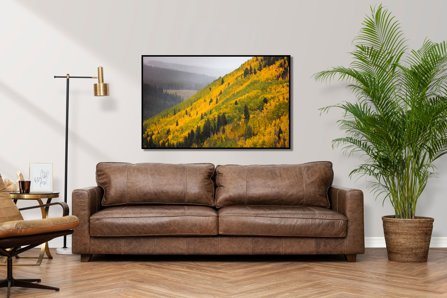 Sideways Fall - Vail Mountain Trees Photos