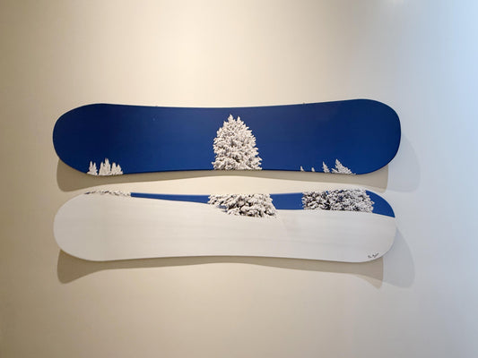 Snow Day - (2) Snowboards Gallery Piece