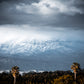 Snow Palms - Photos of  Morro Bay Palm Trees and Mountains