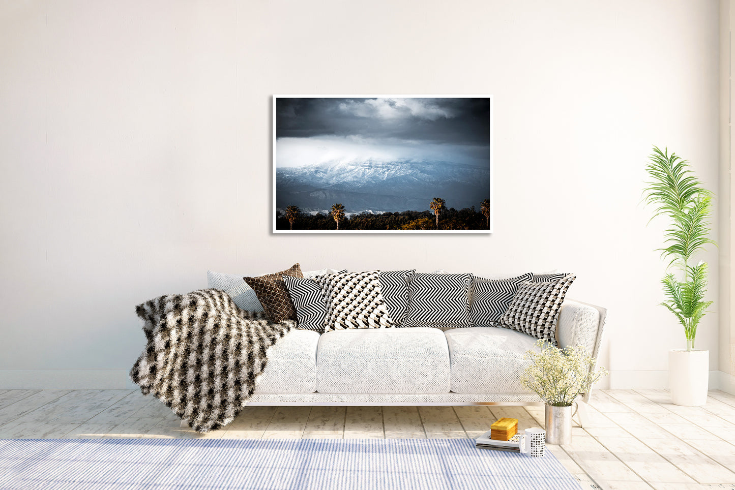 Snow Palms - Photos of  Morro Bay Palm Trees and Mountains
