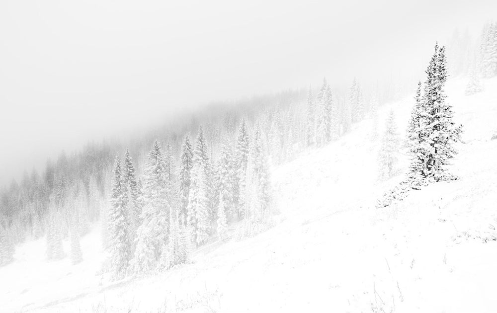 Snow White - Utah Snow Photos