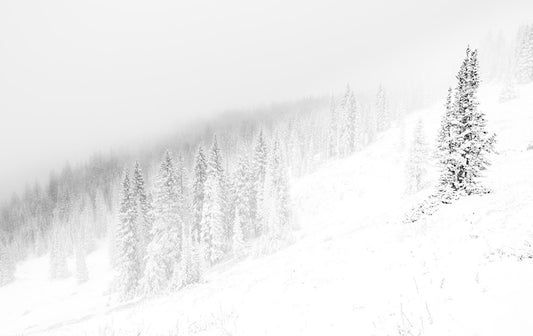 Snow White - Utah Snow Photos