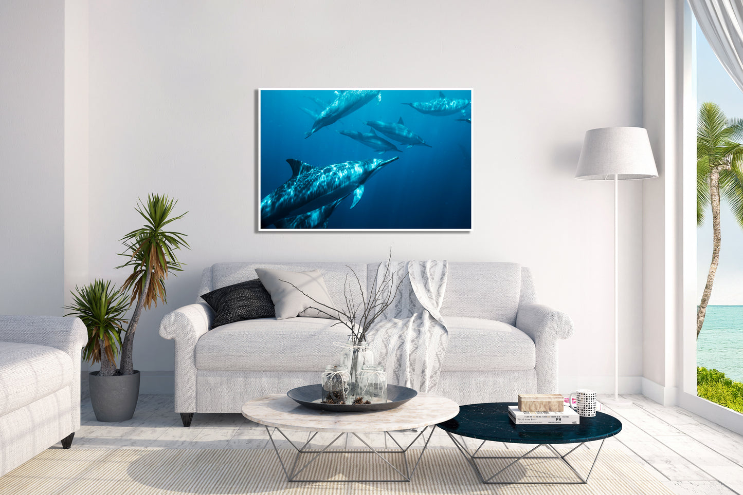 Streamlined  - Hawaii Dolphin Photos