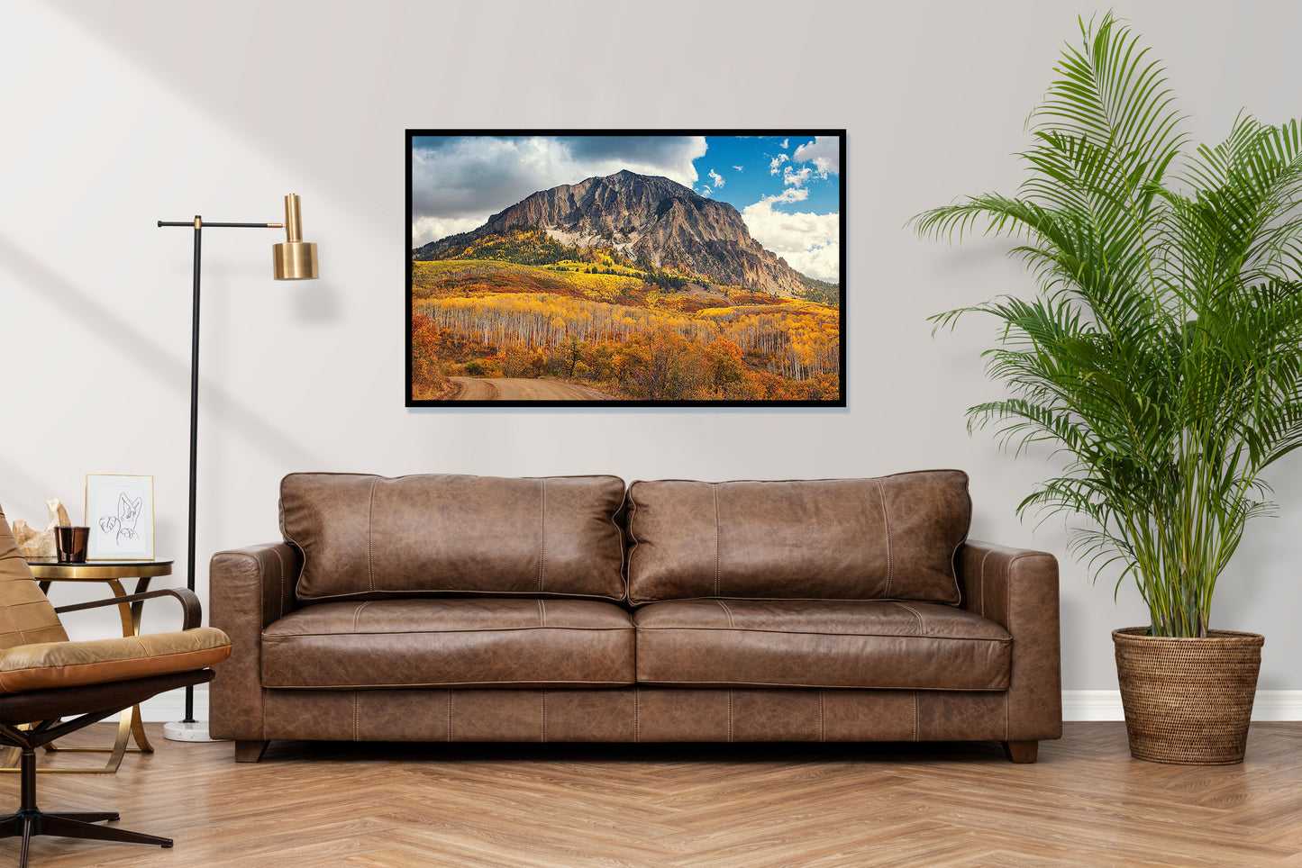 The Road Less Traveled | Beautiful Vail Mountain Photos