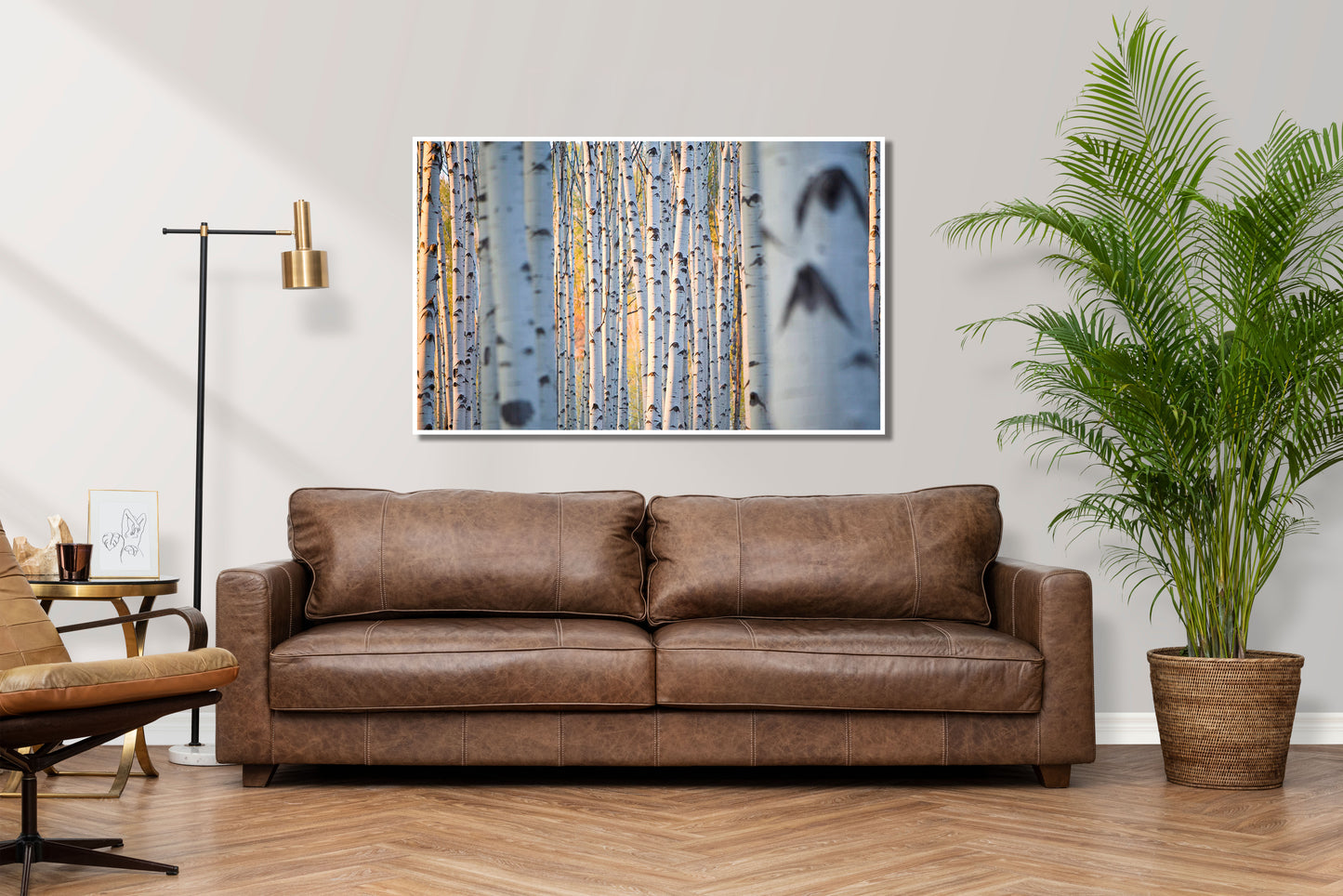 Timber - Vail Tree Colorado Photos